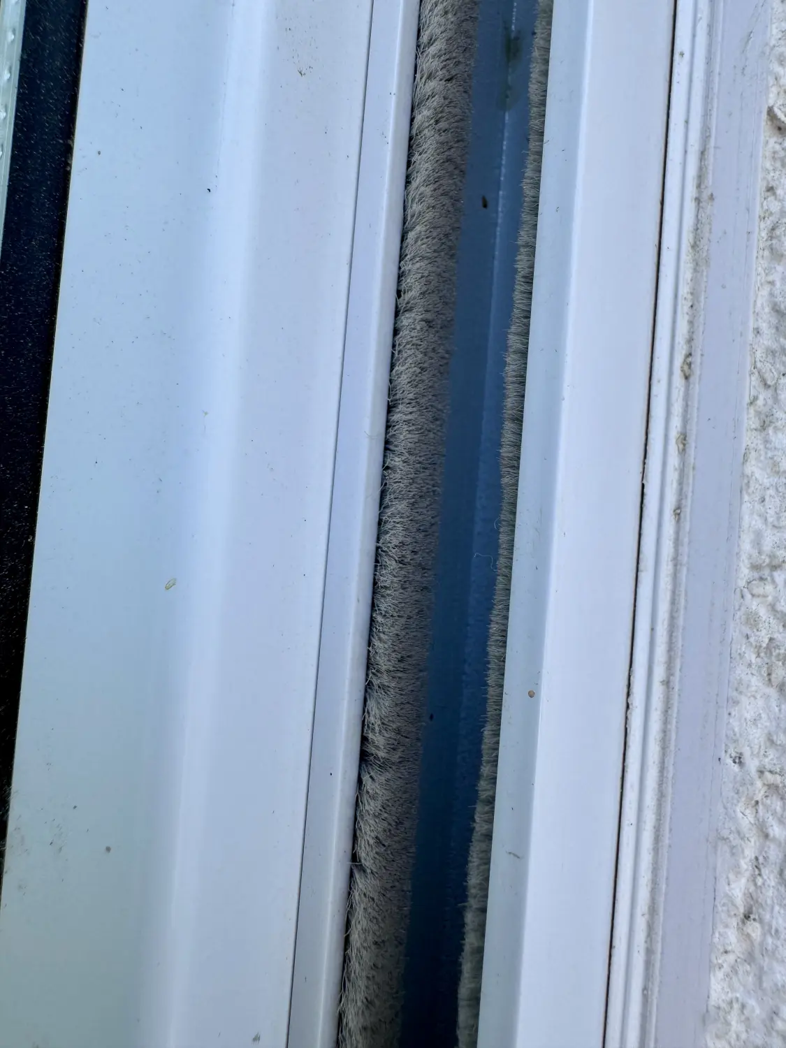 Fenster von Bonitofenser